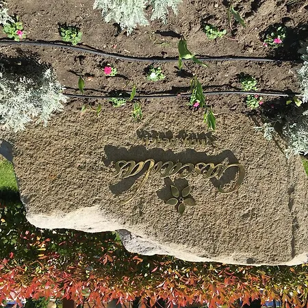 Alexandrovi In Cascadas ساني بيتش